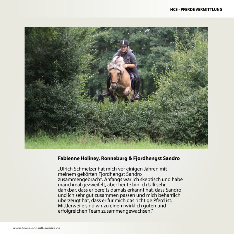 Pferdevermittlung